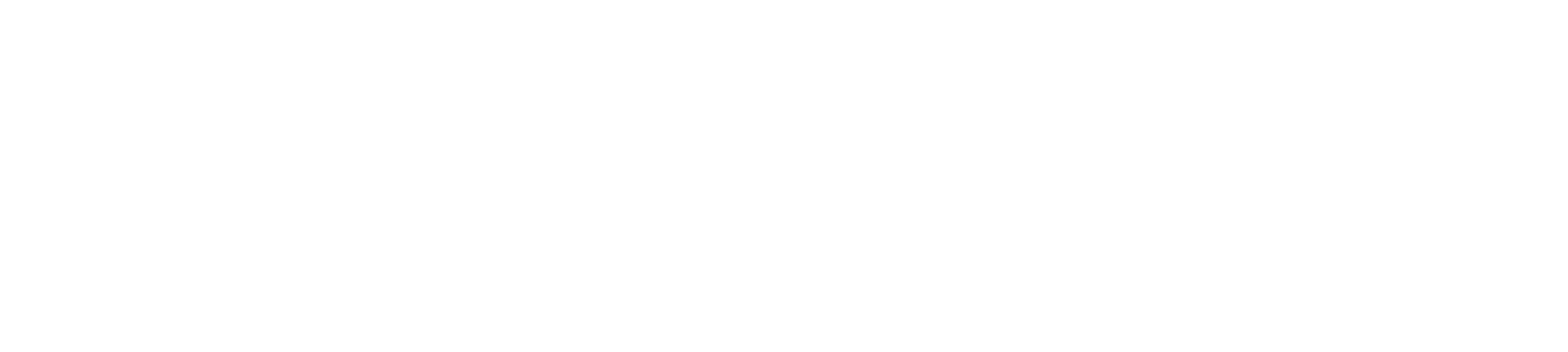 blossa solo